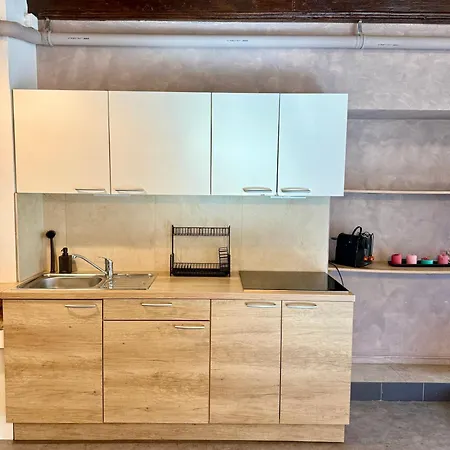 Historic Beneath The Castle In The Old Centre شقة ليوبليانا